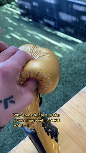 Horsehair Boxing Gloves: The Knockout Punch