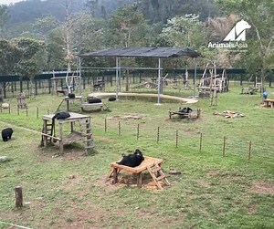 73K views · 3K reactions | The Art of Doing Absolutely Nothing –...