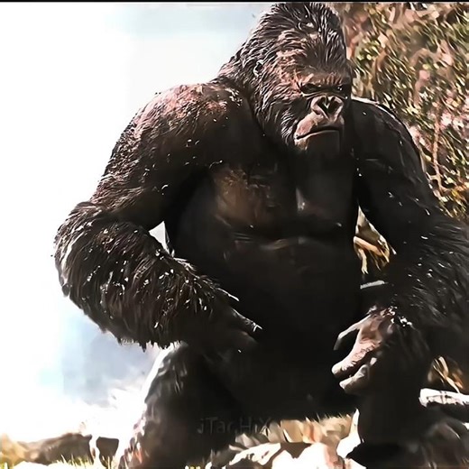 Kong Destroy Dinosaur And 👀☠️| King Kong |#shorts#kong#kongkong#monsterverse#invincible #edit
