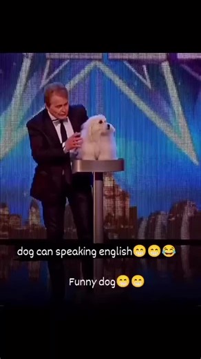 Mejora tus habilidades de edición de video