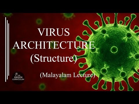 Virus architecture (Structure)