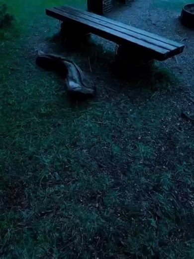 Understanding Islamic Teachings with Ibadullah Sahab