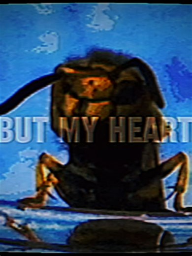 Understanding Yellow Jackets: Social Wasps Explained