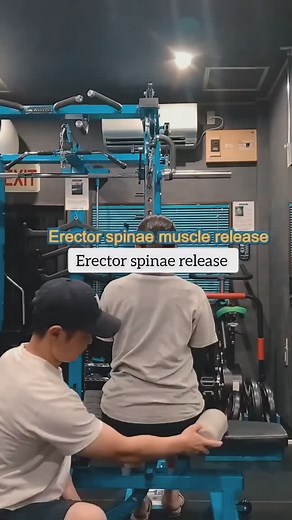 Syed Irfan Haider Kazmi on Instagram: "erector spinae release Spine stand up stasms 【Category: stretch】 Category: Stretching longissimus muscle mild bending → Lateral bending Longest muscle mildly compromised side bow • fix the pelvis - lower part Fix pelvis lower • release the pelvis → upper part Release the pelvis → upper @iliocostalis muscle releasethelongissimusmuscle →counter-rotation Pancreas muscle => Rotation from the release of the longest muscle spinae capitis mildbending Lateralbendin