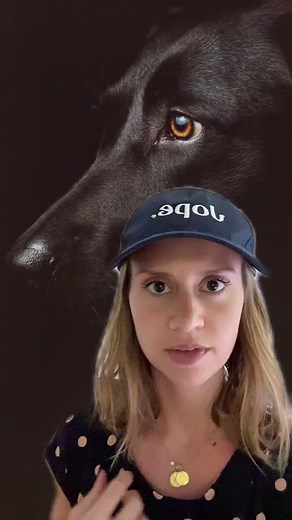 How Long Do Dogs Live? Average Lifespan and Factors Influencing It