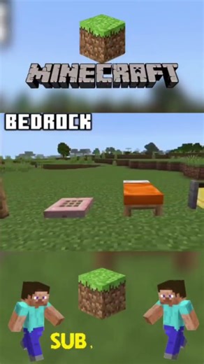 Part...66...Java vs Bedrock–🏆The BIG Differences Explained! #minecraft #minecraftshorts