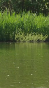 372K views · 1.9K reactions |  Kaboom  The weekend has arrived! Who's got there eyes on the water, looking for shows this morning?  If on the other hand you're stuck in, don't forget to get your fix with an episode of Monster Carp or two! All available to watch via ITV hub!  #kordaofficial #korda #monstercarp #fishing #angling #carp #bigcarp #itv #fishingtime | Korda Developments | Facebook