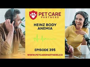 EP 395: Heinz Body Anemia in Dogs & Cats – Oxidative Damage Explained | Pet Care Partners Podcast