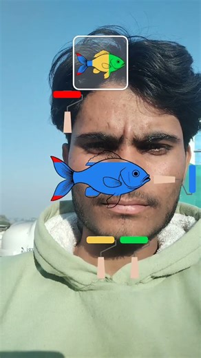 fish colour #beatbox#tiktok