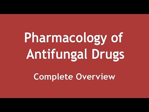Pharmacology of Antifungal Drugs (Complete Overview) [ENGLISH] | Dr. Shikha Parmar