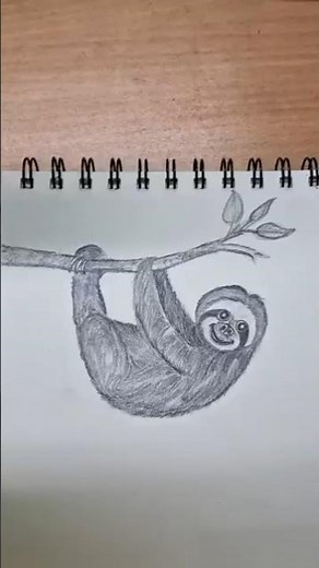 Cute Sloth Drawing | Pencil Sketch Step by Step #shorts #drawing #art