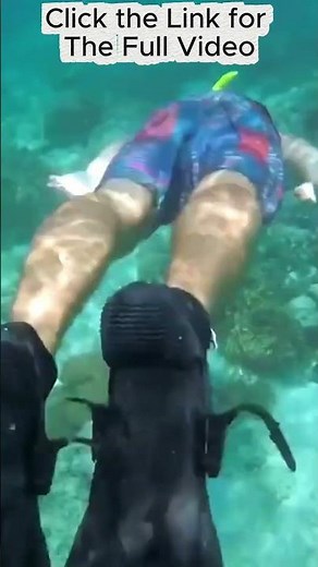 What Makes Komodo National Park a MUST VISIT Destination?