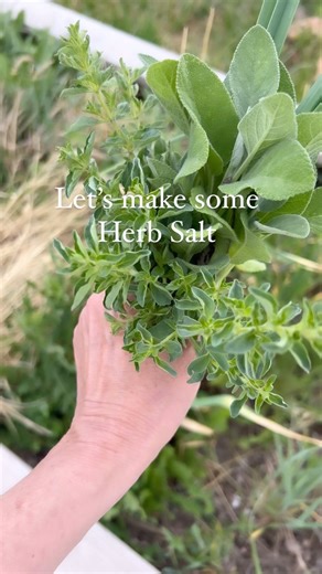 9.1K reactions · 212 comments | I went to the garden to harvest...