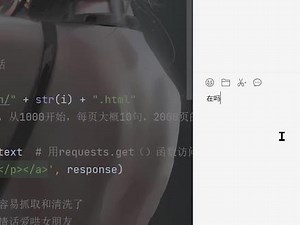 iOS手机怎么运行py脚本