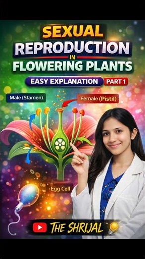 Sexual reproduction in flowering plants full explanation ncert highlights|| class 12 biology #viral