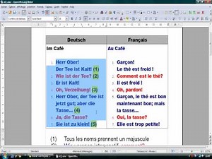 Apprendre l'allemand / Deutsch lernen - Leçon 1