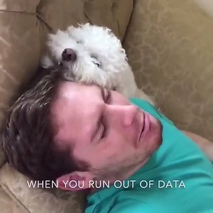 26K views · 915 reactions | Best Dog Ever Compilation By : Patrick Barnes | Most Adorable Pictures | Facebook