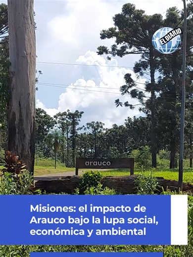 🌲 ENTRE PINOS Y POLÉMICA: CUESTIONAN EL MODELO FORESTAL DE ARAUCO EN MISIONES 🌎 Tras décadas de actividad forestal en Misiones, la presencia de la multinacional Arauco vuelve a quedar en el centro del debate. Con unas 233 mil hectáreas en la provincia —alrededor del 8% del territorio— especialistas, campesinos y comunidades guaraníes advierten sobre los impactos sociales, económicos y ambientales que deja el modelo productivo impulsado por la empresa. 🌳 El tema cobró fuerza recientemente tras