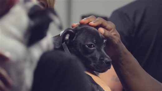Louisville Free Public Library rolls out new bookmobile