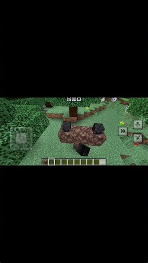 Voici comment créer le WITHER sur Minecraft 😱 (facile)