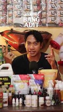 Edisi Warung Band Adit : Solusi Ayam Belajar Nelor