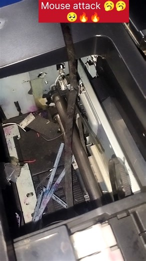 Epson cable damage due to mouse attack #epson l805 #epson l8050 #electronicrepair #printer