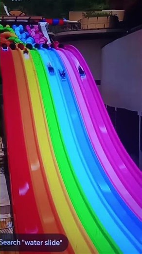 parroter explore in Hong Kong