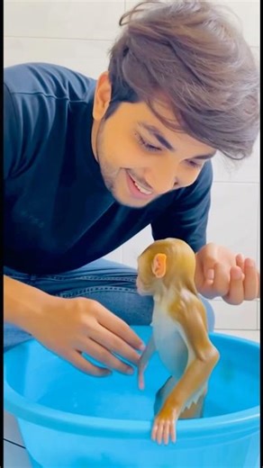 Tiny Monkey Toy Turns Into a REAL Monkey in Seconds! 🤯 #aivideo #monkey #minivlog #trending #funny