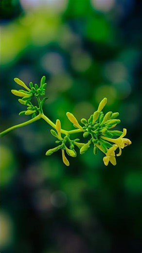 Secrets to Creating Stunning HDR Portraits with Canon & Photoshop!