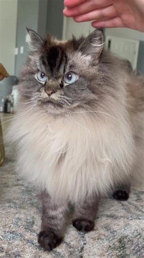 Ew David Meme Compilation: Fun Moments and Sounds