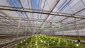 Smart Greenhouse Control Parameters Greenhouse Smart Stock Footage Video (100% Royalty-free) 1109104565 | Shutterstock