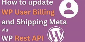 How to update WP User Billing and Shipping Meta via WP Rest API