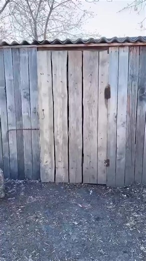 Відео користувача alex ninjago😎🇺🇦 (@alexegorov17) з композицією «оригинальный звук - alex ninjago😎🇺🇦»