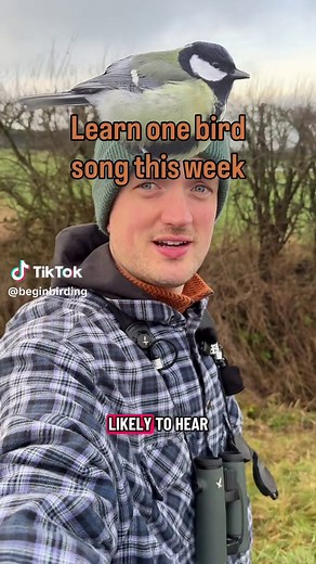 Recognizing the Great Tit's Spring Song