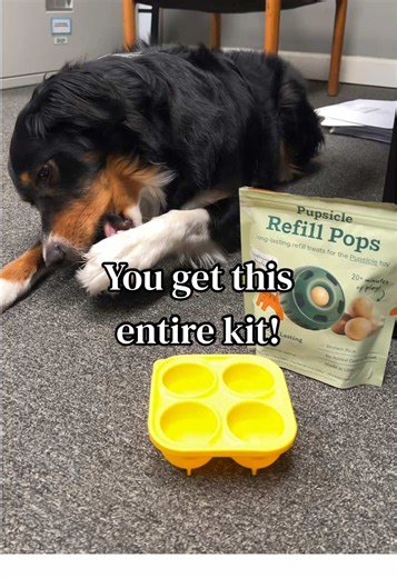 DIY Dog Treat Kit: Make Homemade Popsicles Now