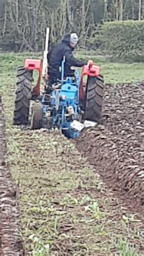 1968 Massey Ferguson 135 2.5 Litre 3-Cyl Diesel Tractor (46 HP) Ivanhoe Ploughing Match 2026