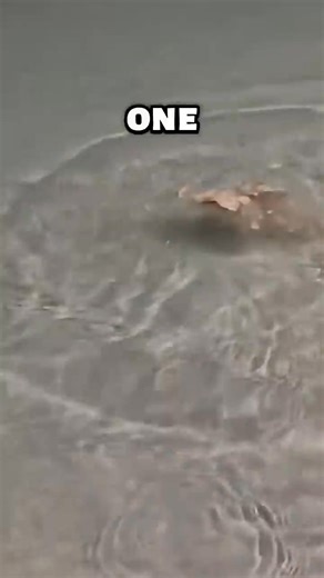 How to Make Authentic Irish Coffee #hashtagmention | Bright Loop