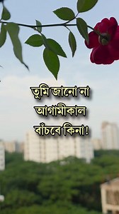 তুমি জানো না আগামীকাল বাঁচবে কিনা! #reelschallenge #anisulislam #communitysupport #Productivity #motivational | Anisul Islam