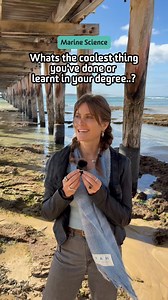 2.3K views | Choose the only Victorian university with a dedicated bachelor of marine science. | Deakin University | Facebook