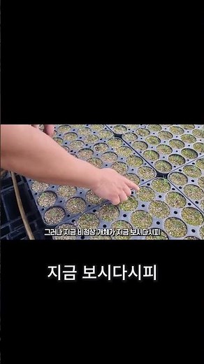 정상 vs 비정상 '이것' 하나로 1년 성장이 멈춥니다