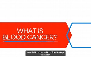 【中英双字】血液癌简介-what is the blood cancer？