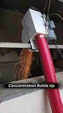 Can a Grain Silo Really Explode? 😳💥 #shorts