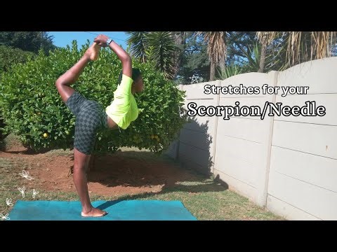 Get Your Needle in 5 Minutes a Day! (Follow Along Stretch Routine)
