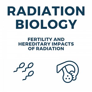 Fertility, Hereditary, Gestational Radiation Risks [w/Tables] For Radiologic Technologists • How Radiology Works