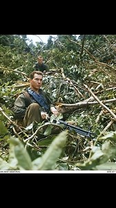 Operation Forrest, 1967 – The M60 Never Rested #VietnamWarHistory #AustralianForces #USAlliesInVietnam #M60Gunner #militaryhistoryusa #operationforrest | Lily's