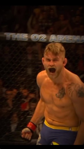 Alexander Gustafsson: The Mauler's Journey in UFC