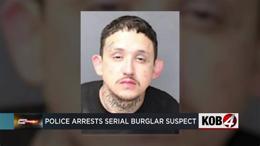 APD arrests serial storage burglar suspect