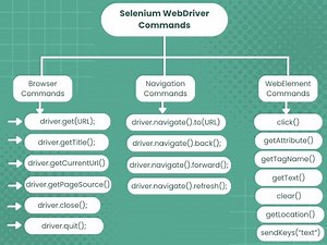 practice 15 (WebDriver Methods in Selenium with Programs)