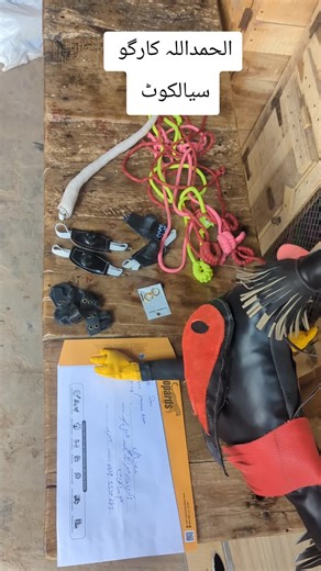 Ek Shok Murga Bazi da Aseel Accessories Aseel lover Shok Murga Bazi #for #aseellovers #aseelmurga #foryou #viewsproblem @🅰🅼🅸🆁😈 @ʙ➋ᴋ ᭄حسن༒︎☠️ @🥂نواب👀