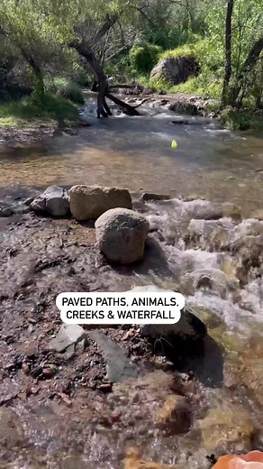 Repost:@realtimemomaz Madera Canyon Family-Friendly Hike 🥾SAVE this for your next adventure . . About an hour south of Tucson is the town of Green Valley. Just like the name, most of the year, it’s pretty green here with an abundance of desert wildlife mixed with vibrant colored birds and butterflies. . . Madera Canyon is the perfect place for a family-friendly hike equipped with paved loop trails, creeks with water (most of the year), a flowing waterfall, and easy entrance! . . 🥾The cost is $